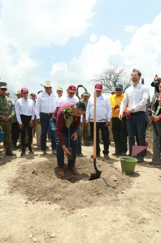 Tamaulipas participa en Jornada Nacional de Reforestación; se plantarán 15 mil árboles: Américo