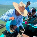 Dan seguimiento técnico al crecimiento de la actividad ostrícola en la Laguna Madre