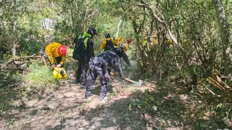 Guardia Estatal activa Plan Tamaulipas para sofocar incendio en la Sierra de San Carlos