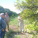 Bioinsumos abren camino a la recuperación de huertas citrícolas en Güémez
