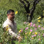 Refuerza Gobierno de Tamaulipas acciones de conservación para proteger al colibrí de garganta rubí